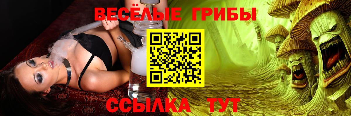 Псилоцибиновые грибы Psilocybe  Вход с VPN  Галлюциногенные грибы мицелий  Архангельск 